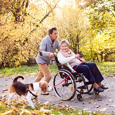 Pet-Care-Walking-Dog